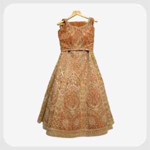 Simple Lehenga 13