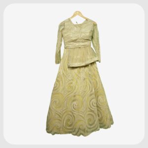 Lehenga 169