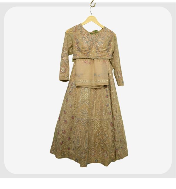 Lehenga 17