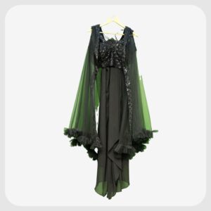 Indo Western Saree285