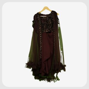 Indo Western Saree287