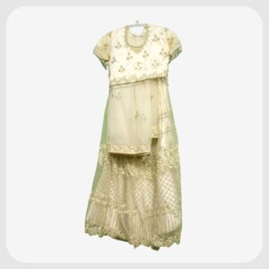 Indo Western Lehenga 306