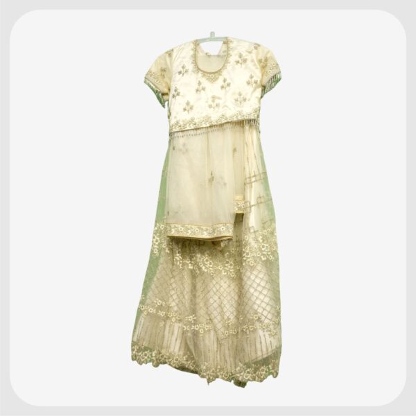 Indo Western Lehenga 306