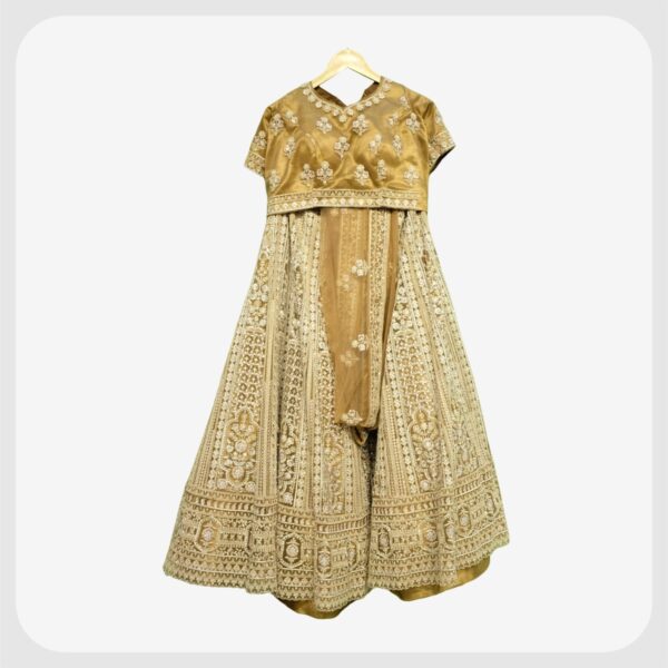 Lehenga 31