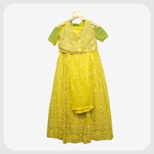 Indo Western Lehenga81