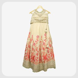 Indo Western Lehenga83
