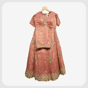 Lehenga N 14