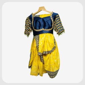 Navvari Saree 9